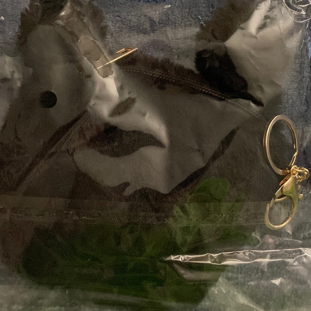 A count bag with a zipper on the top and a chain for your keys and etc